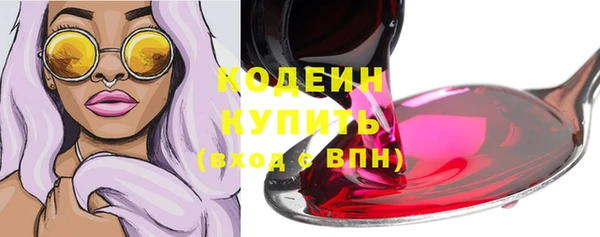 гидра Вязьма