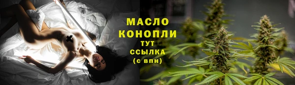 гидра Вязьма