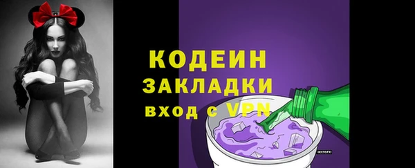 гидра Вязьма