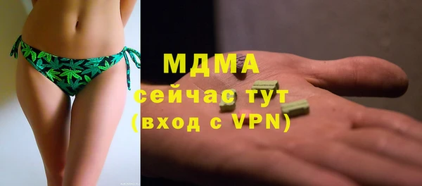 гидра Вязьма