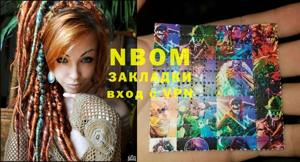 гидра Вязьма
