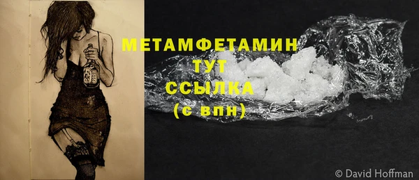 гидра Вязьма