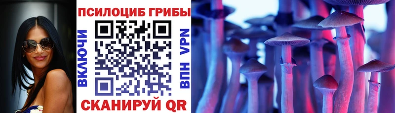 Псилоцибиновые грибы мухоморы где купить наркоту Ессентуки